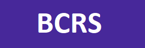 picture of Bobs Computer Repair Shop Logo